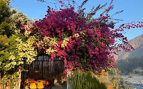 Nayar Valley Retreat